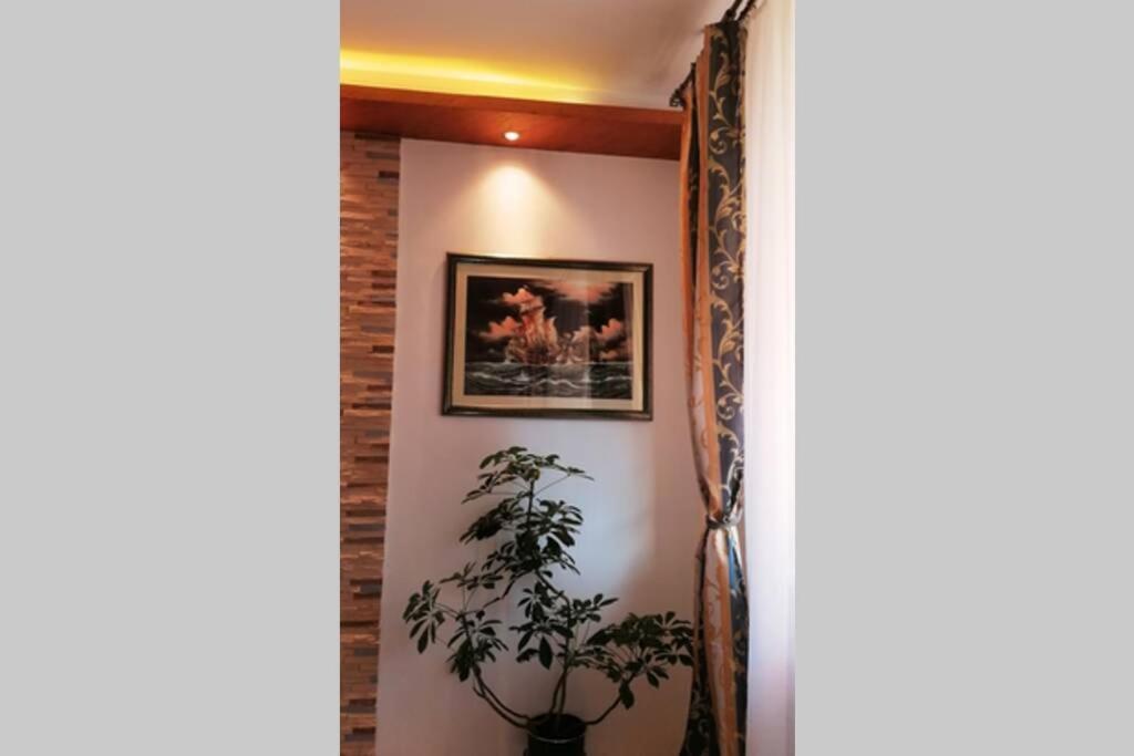 Oasis Felix Apartment Belgrade Luaran gambar